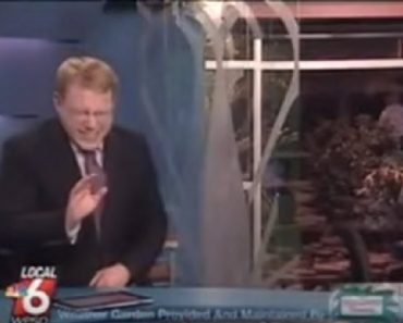 News Anchor Cannot Stop Laughing About The Name Of This Pig…