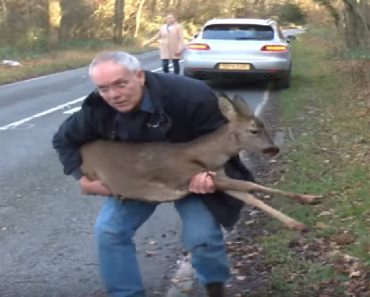 One Man Is Brought To Tears As He Rescues A Doe Fighting For Her Life