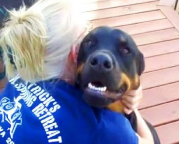 Her Rottweiler Has Such A Funny Reaction To Petting, She Had To Catch It On Camera…