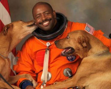 Astronaut Poses With His Rescue Dogs In Official NASA Portrait