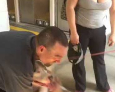 Stolen Dog’s Reaction When Reuniting With Daddy After 7 Months Will Touch Your Heart