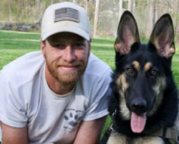 Former Marine Rescues Shelter Dogs Facing Euthanasia And Trains Them To Do Something Incredible