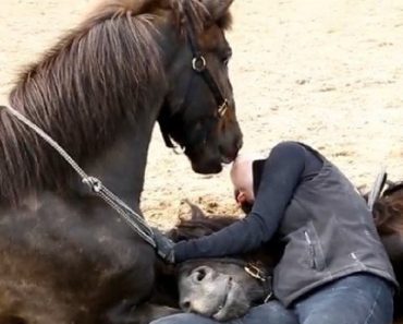 The Bond Between This Human And Her Horses Cannot Be Explained In Words. So, You Must See It For Yourself!