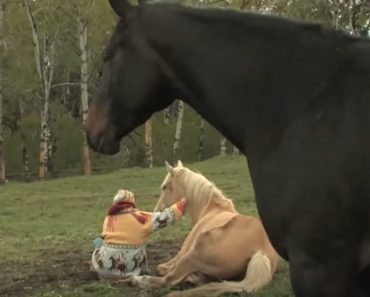 Look Very Closely At How These Horses Heal People’s Bodies And Spirits Through Therapy