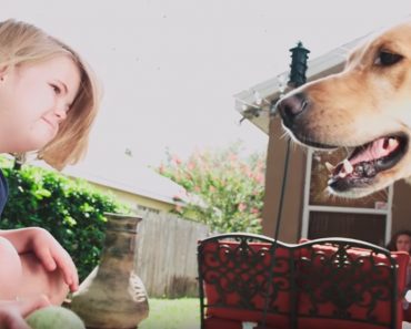 Touching Commercial Highlights The Magical Friendship Between A Girl And Her Service Dog
