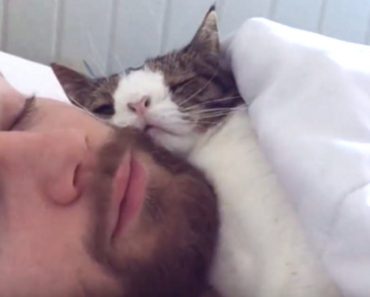 Bedtime Routine Between Guy And This Unwanted Shelter Cat Is Truly Sweet