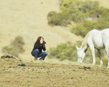 Woman Kneels Down To Take A Photo Of A Wild Horse, But What Follows Is Beautiful…