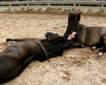 Woman Shares A Very Special Bond With Her Two Affectionate Horses