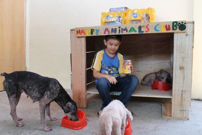 boy creates animal shelter
