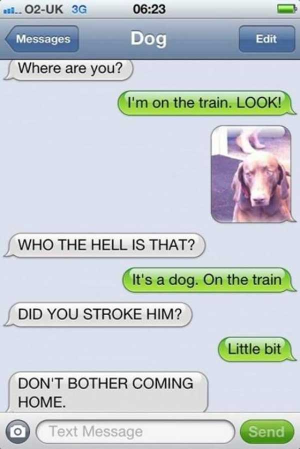 funny dog texts