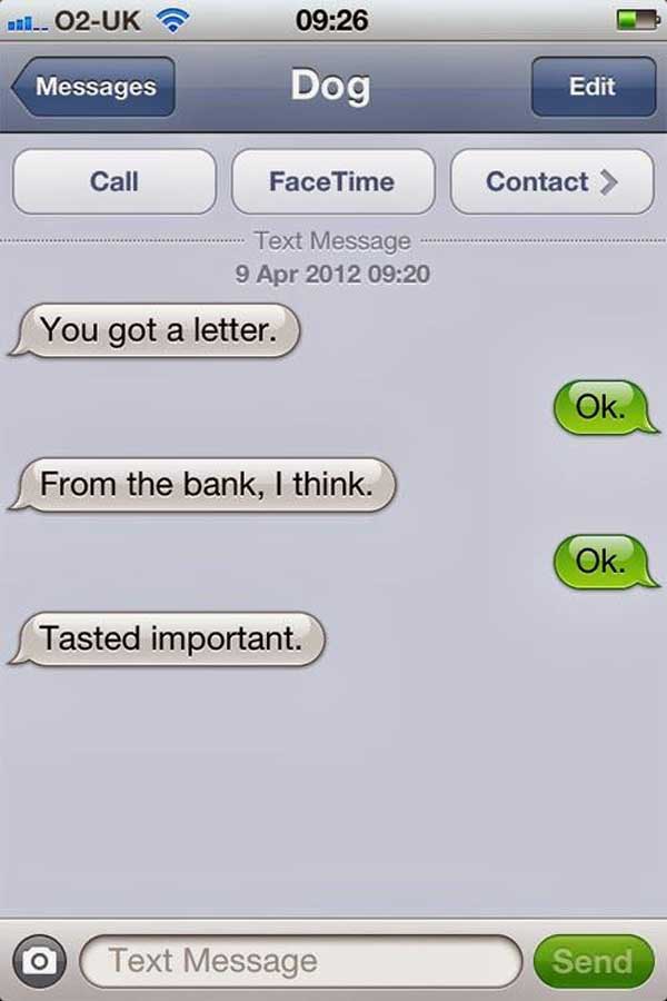 funny dog texts