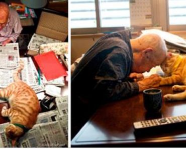He Turned Grumpy Grandpa’s Life Upside Down When He Gave Him A Cat