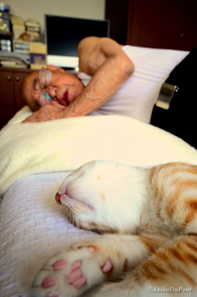 grandpa and cat