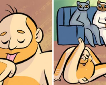 Hilarious Comics Showing What Would Happen If Cats And Humans Switched Roles