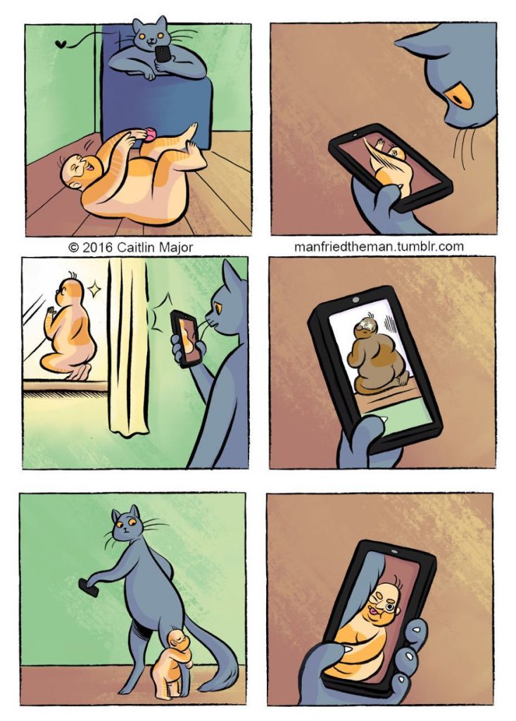 if cats and humans switched roles