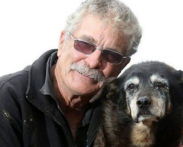 At 30 Years Young, The Oldest Dog In The World Passes Away