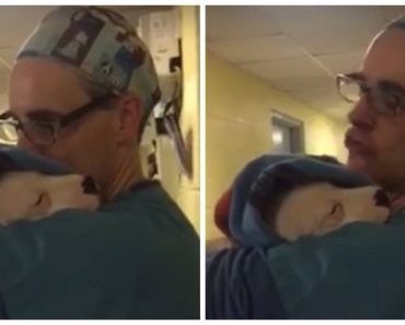 When This Puppy Wouldn’t Stop Crying After Surgery, What One Vet Assistant Did Was Remarkable