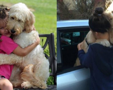 Proof That Hugging A Dog Can Make Your Day