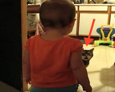 His Daughter And Cat Have The Most Adorable Morning Routine And The World Completely Agrees…