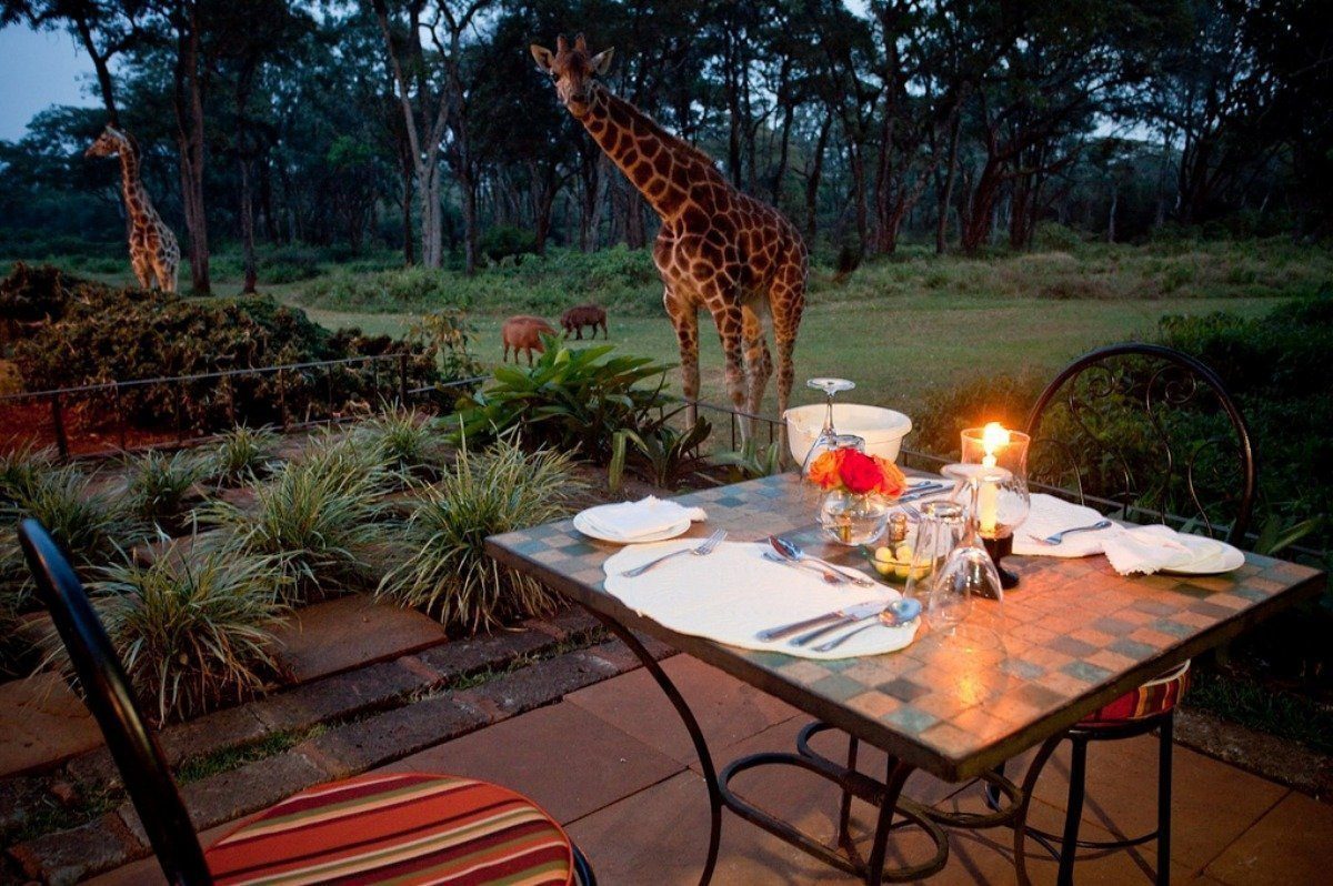 giraffe hotel