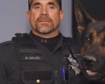 K9 Dog Who Risked His Life During A Robbery, Succumbs To Injuries