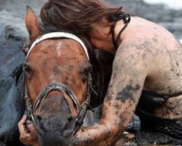Horse Finally Rescued After Being Stuck In Quick Sand For More Than Three Hours