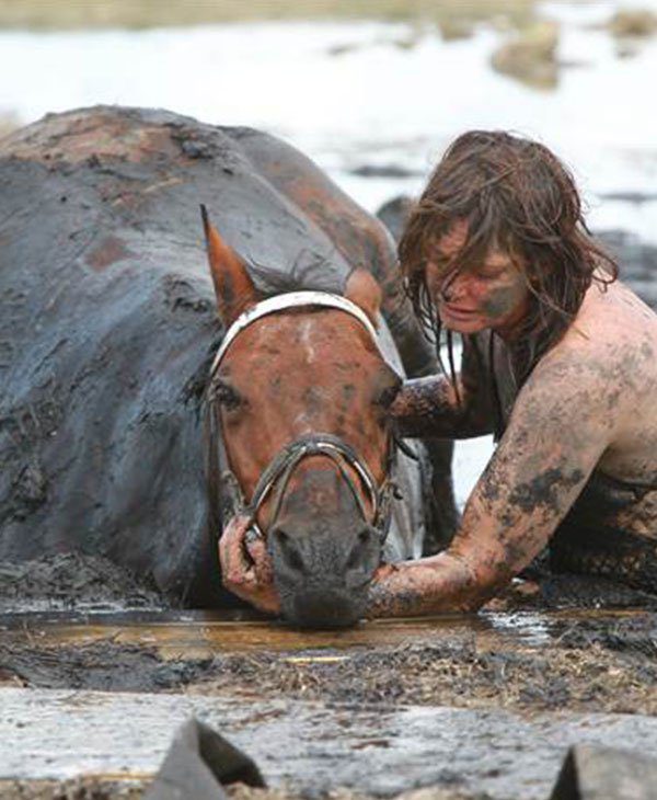 horse stuck in mud