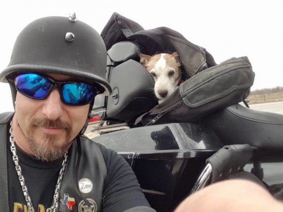 motorcyclist rescues dog