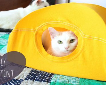 25 Awesome DIY Pet Projects