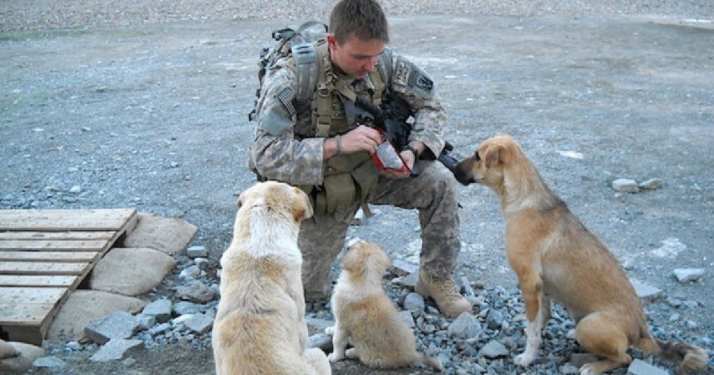 sergeant reunites hero dog