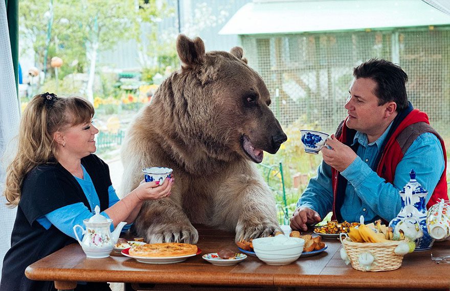 couple adopted bear