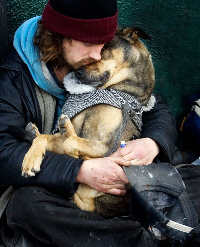 dogs loyal love 