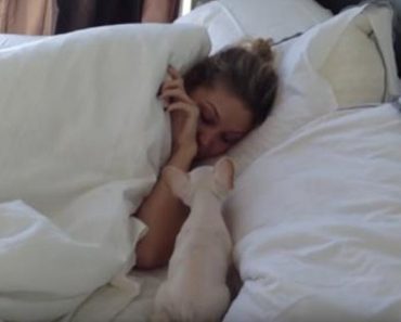 Man Surprises His Wife By Waking Her Up With A French Bulldog Puppy