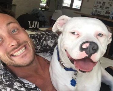 New Owner Proudly Posts Freedom Pic Of His Adopted Dog, Results In Police Getting Called…