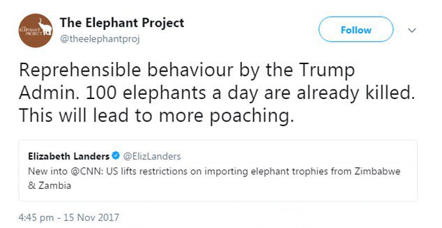 Trump lifts Ivory Import Ban 