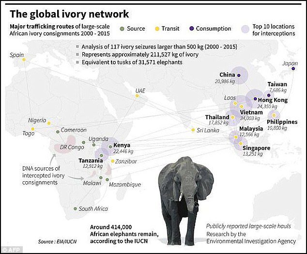 Trump lifts Ivory Import Ban 