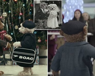 Heathrow Airport Releases Tear-Jerking Christmas Bear Ad