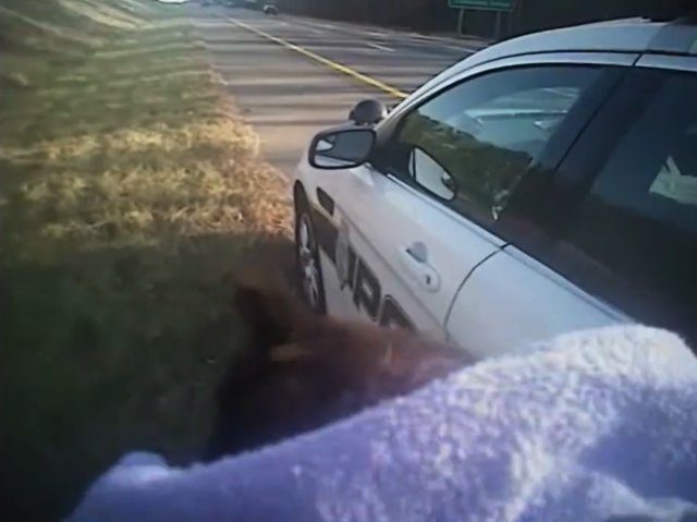 cop saves kitten