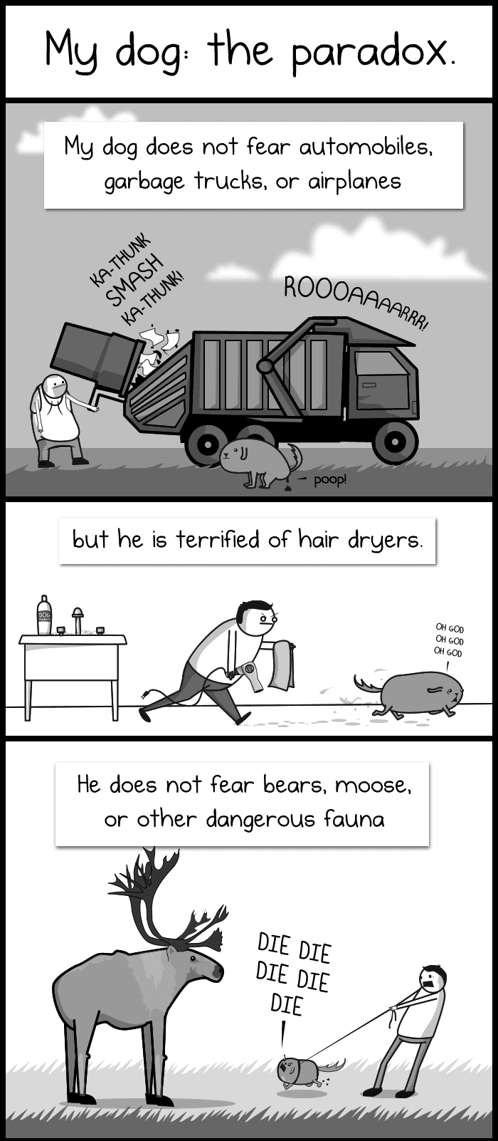 dog the paradox 
