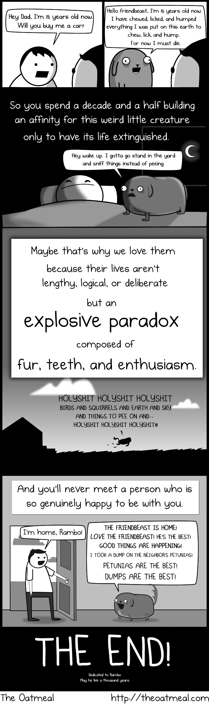 dog the paradox 