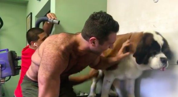 man gets groomed with dog