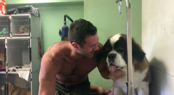 man gets groomed with dog