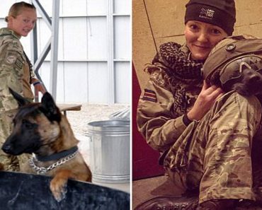 Army Dogs Helped Save Lives In Afghanistan Are Scheduled To Be Put Down
