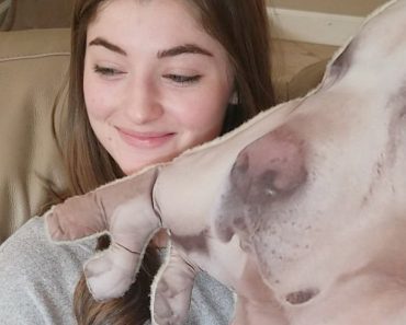 Guy Makes His Girlfriend A Pillow Of Her Dog’s Likeness And The Results Are Hilarious