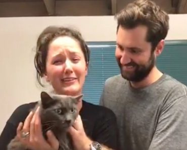 Family Reunites With Cat They Thought Was Lost In Mudslide