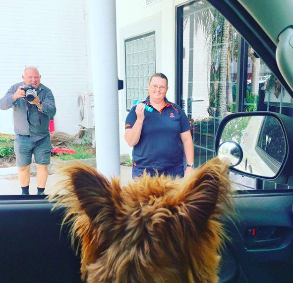 dog hitchhiking across australia