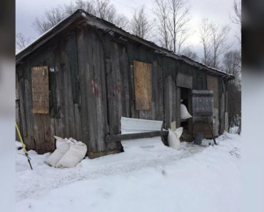 Heartbreaking Discovery Made Inside Tiny, Windowless Barn