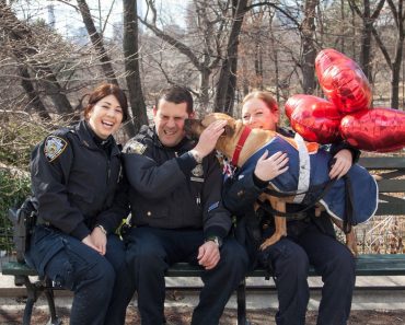Cops Save Dog’s Life — Then Decide To Find Him A Family