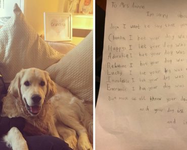 Teacher Received The Sweetest Letter From A Student After The Loss Of Her Dog
