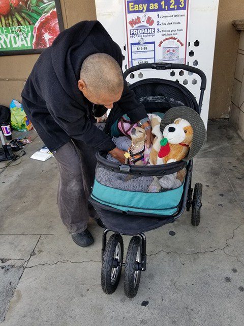 homeless got dog stroller